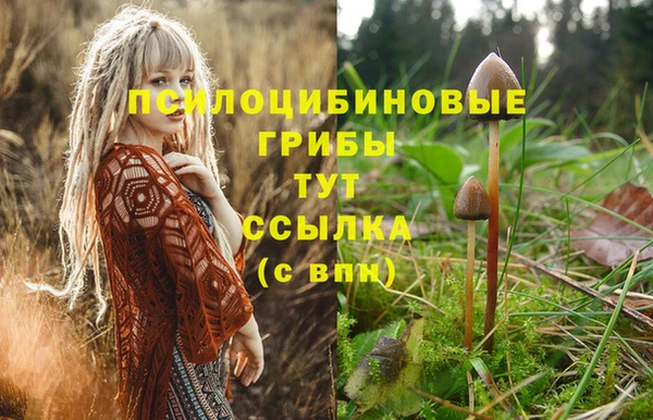 MDMA Premium VHQ Горнозаводск