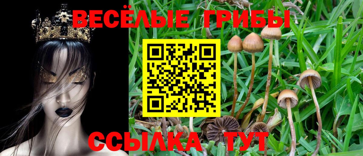 Псилоцибиновые грибы Psilocybe  Вход с VPN  наркота  Ноябрьск 